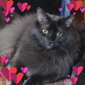 Meet your Posher, Jannette